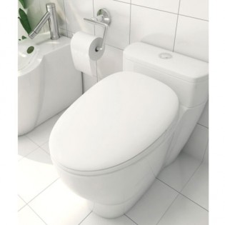 Whale Spout Smart Toilet Seat Pro